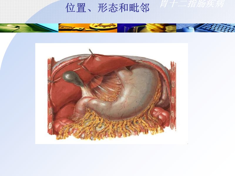 最新：普通外科课件-胃十二指肠疾病-文档资料.ppt_第3页