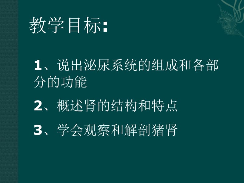 生物：11.1《人体泌尿系统的组成》课件（苏教版七下）.ppt_第2页