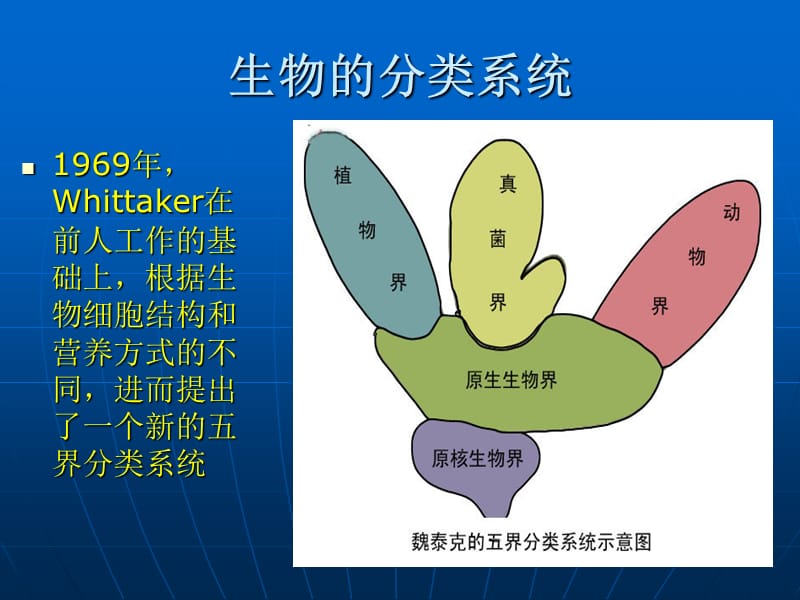 最新：病毒性皮肤病与真菌性皮肤病课件-文档资料.ppt_第1页