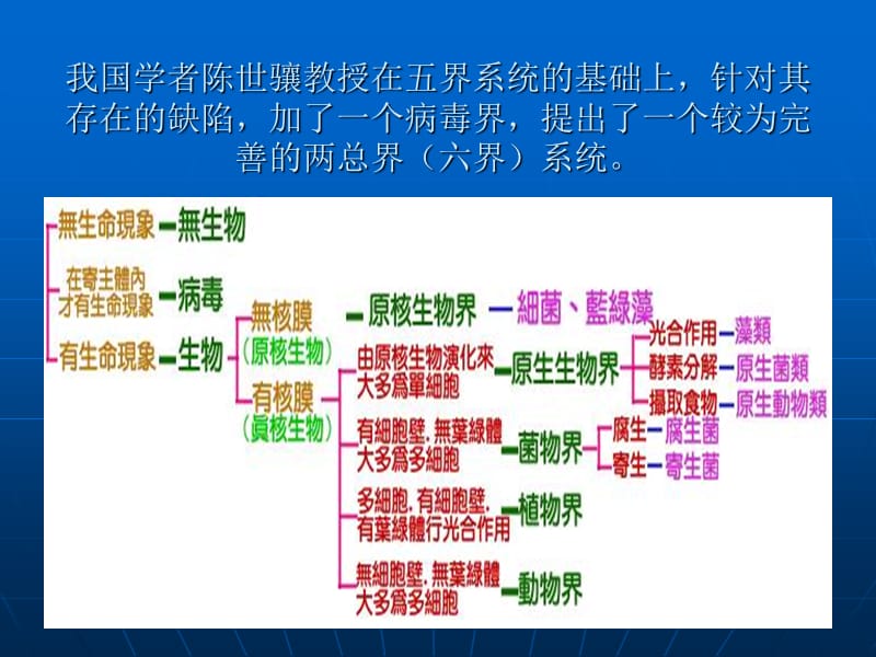 最新：病毒性皮肤病与真菌性皮肤病课件-文档资料.ppt_第2页