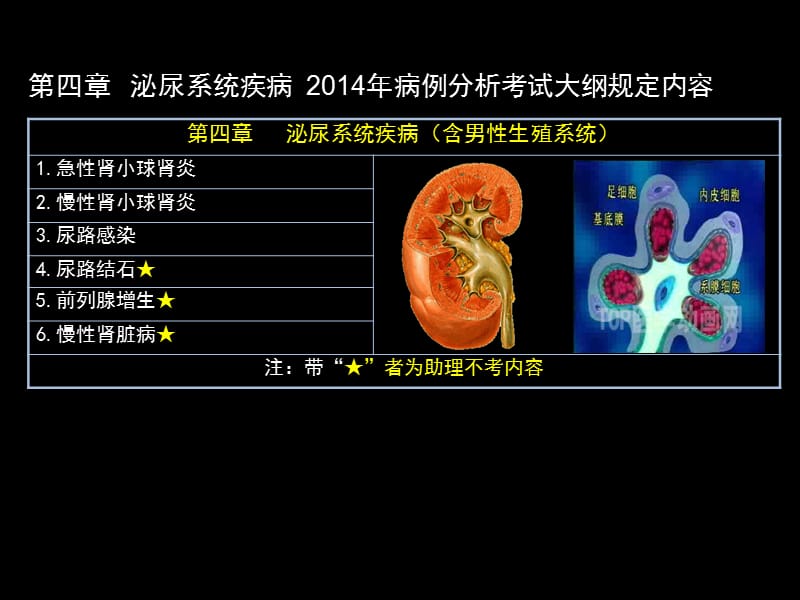 最新：病例分析（2014）泌尿 血液 女生 内分泌 神经课件-文档资料.ppt_第2页