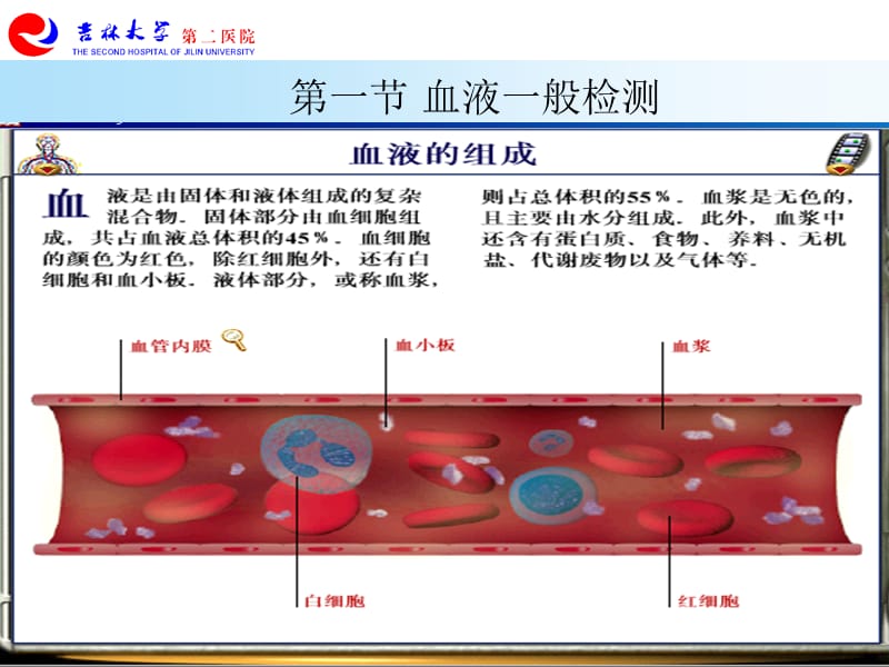 实验诊断-02第二章 临床血液学检查（二院）-文档资料.ppt_第1页