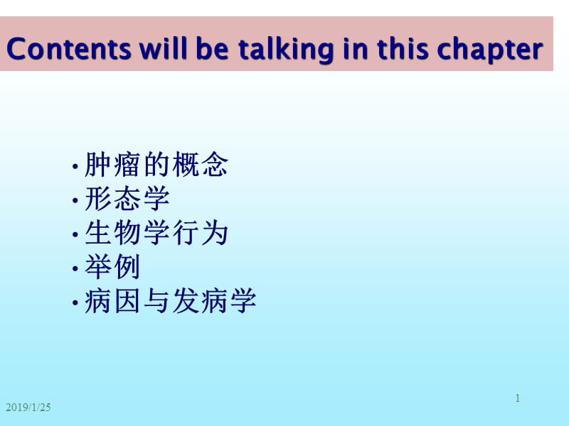 最新：本科病理学肿瘤-文档资料.ppt_第1页