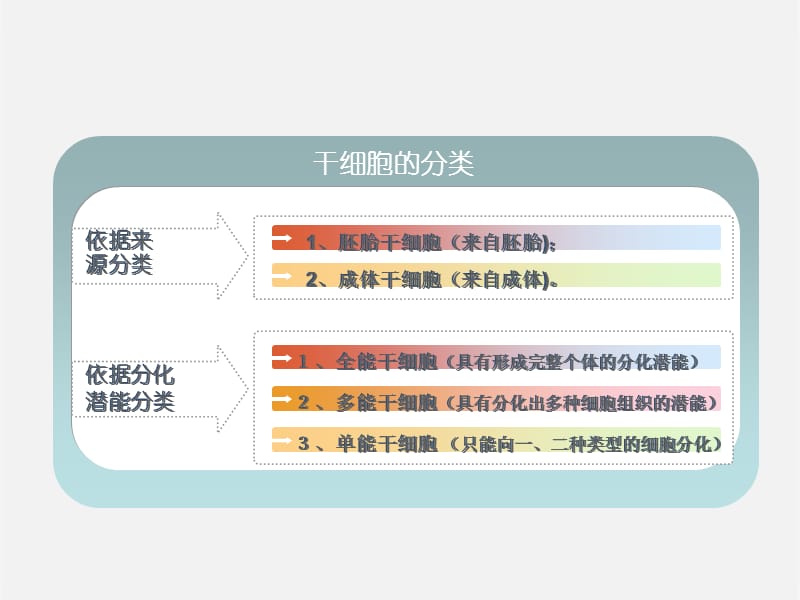 干细胞科普-PPT课件.ppt_第2页