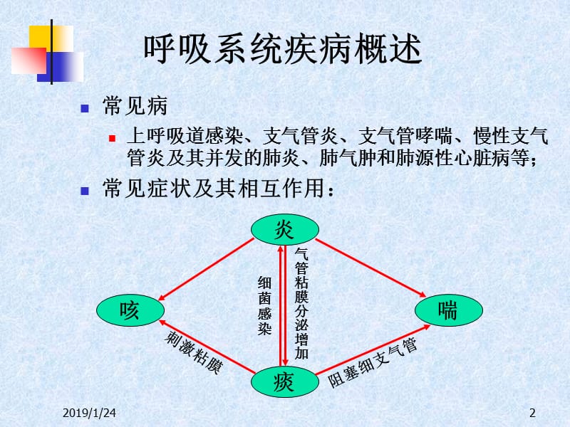 呼吸系统的用药-PPT课件.ppt_第2页