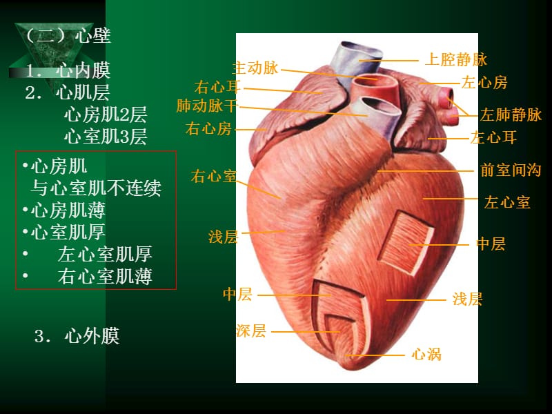 循环系统疾病修改-精选文档.ppt_第2页