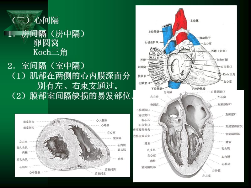 循环系统疾病修改-精选文档.ppt_第3页