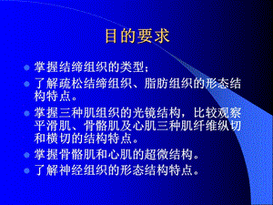 实验二结缔组织肌组织神经组织-文档资料.ppt