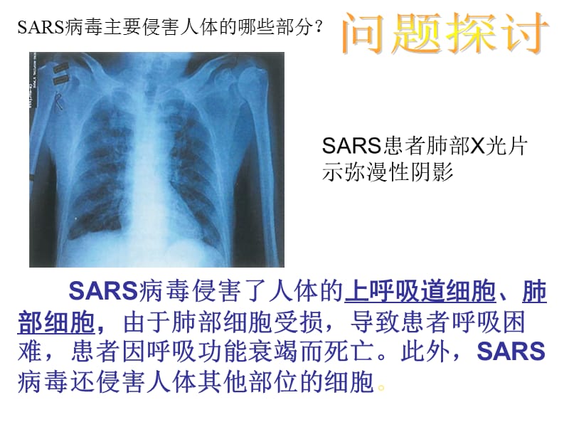 最新：第一部分走近细胞第一部分从生物圈到细胞教学课件-文档资料.ppt_第3页