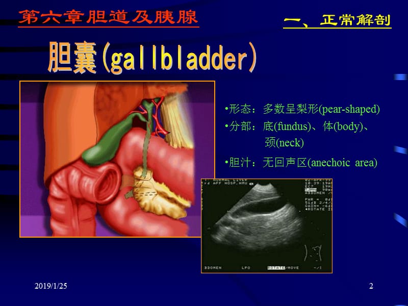 最新：胆道胰腺超声诊断学-文档资料.ppt_第2页