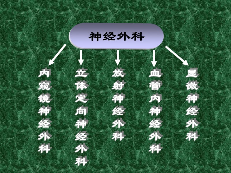 神经外科学课件-PPT文档.ppt_第2页