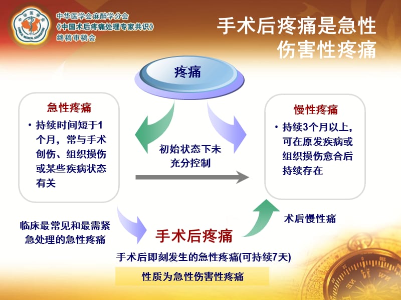 最新：术后疼痛专家共识-文档资料.ppt_第3页