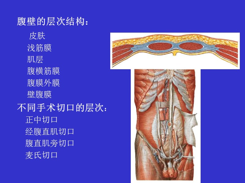 最新14单元腹膜腔的结构-PPT文档.ppt_第1页