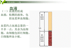 学前儿童卫生保健-血液、循环系统-PPT文档.ppt