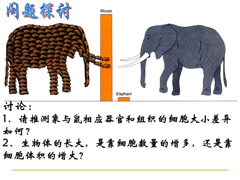 必修一61细胞增殖-精选文档.ppt_第2页