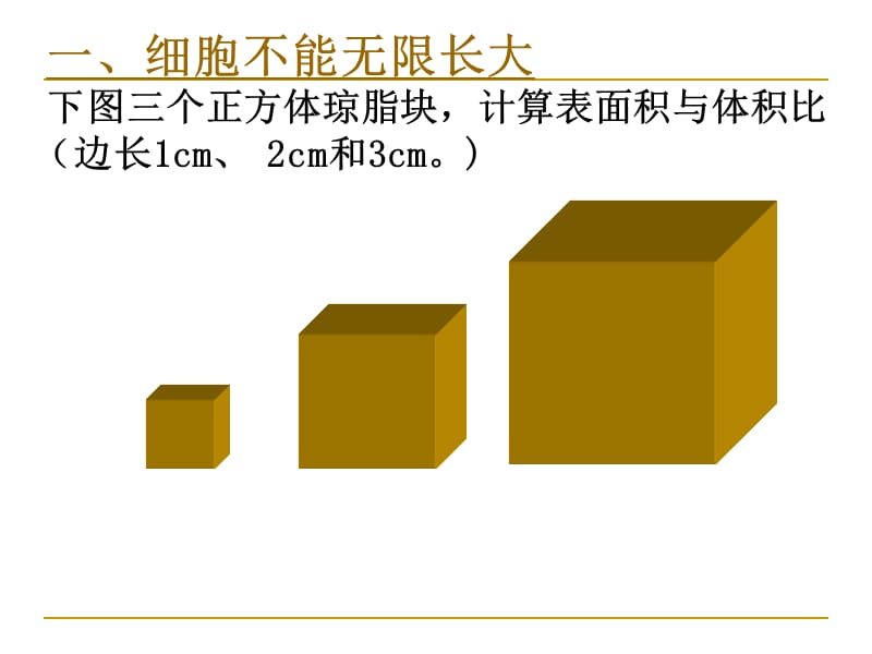 必修一61细胞增殖-精选文档.ppt_第3页