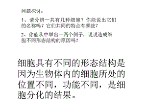 最新：必修1第一章第2节细胞的多样性与统一性-文档资料.ppt