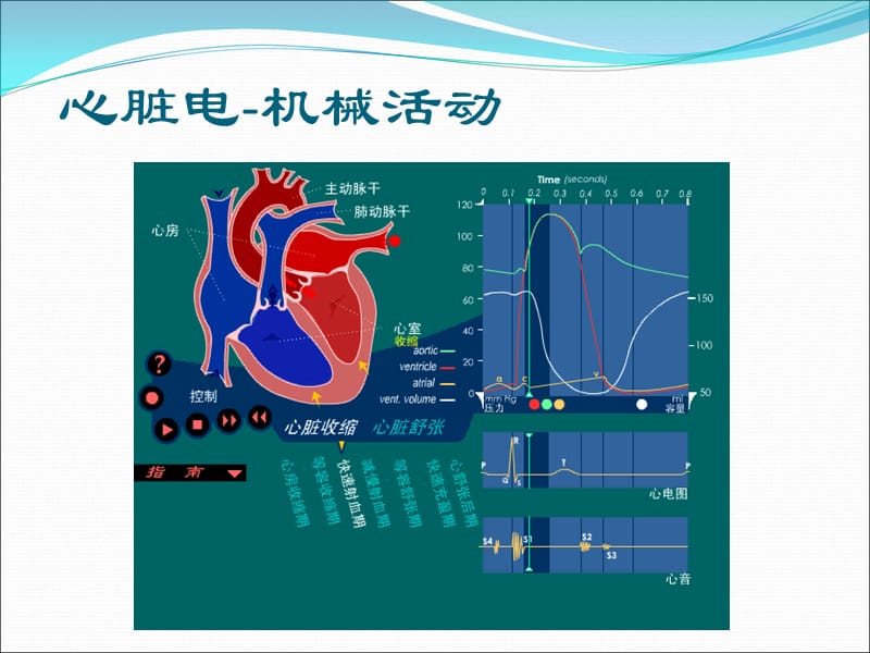 最新：如何阅读儿童心电图ppt课件-文档资料.ppt_第1页