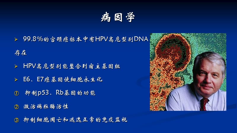 宫颈癌贾朝阳-精选文档.ppt_第3页