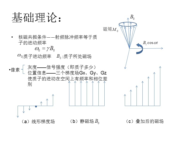 最新：核磁共振成像实验中采样参数对图像形状影响规律-文档资料.ppt_第1页