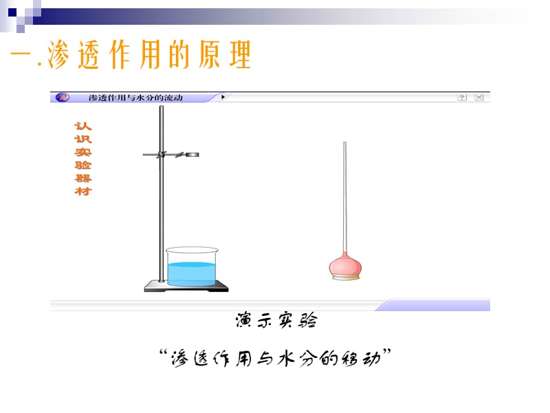 物质进出细胞的方式-精选文档.ppt_第3页