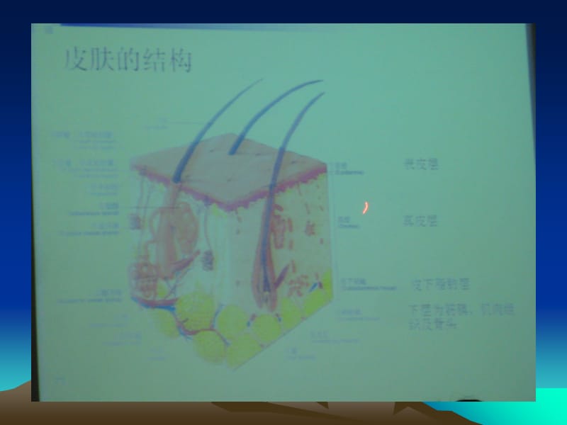 最新：伤口治疗与处理-文档资料.ppt_第3页