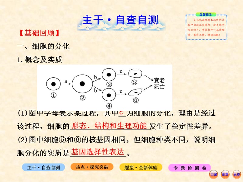 江苏2013年生物高考热点预测课件：32细胞的分化、衰老、凋亡和癌变-精选文档.ppt_第1页