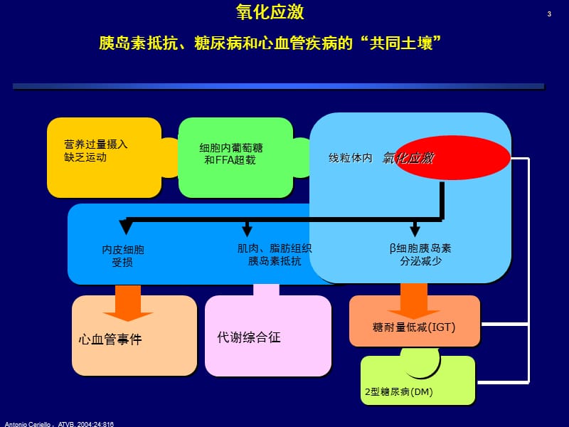 最新：糖尿病患者抗血小板治疗的必要性和安全性城市会ppt课件-文档资料.ppt_第3页