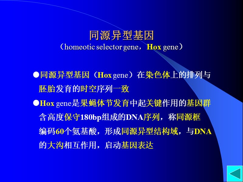 最新12第十二章细胞分化与基因表达调控-PPT文档.ppt_第2页