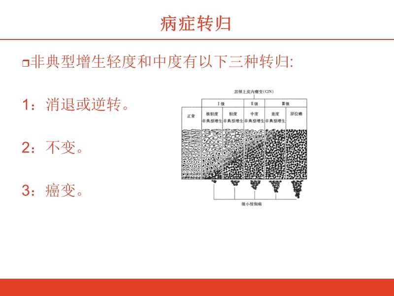 最新：病理不典型增生出现-文档资料.ppt_第2页