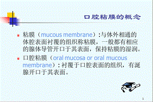 口腔粘膜组织病理-PPT文档资料.ppt