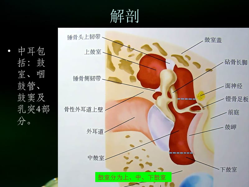 最新：中耳炎的护理-文档资料.ppt_第2页