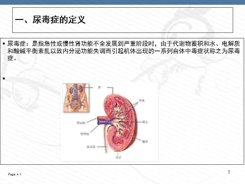 尿毒症病人的护理-PPT文档资料.ppt_第1页