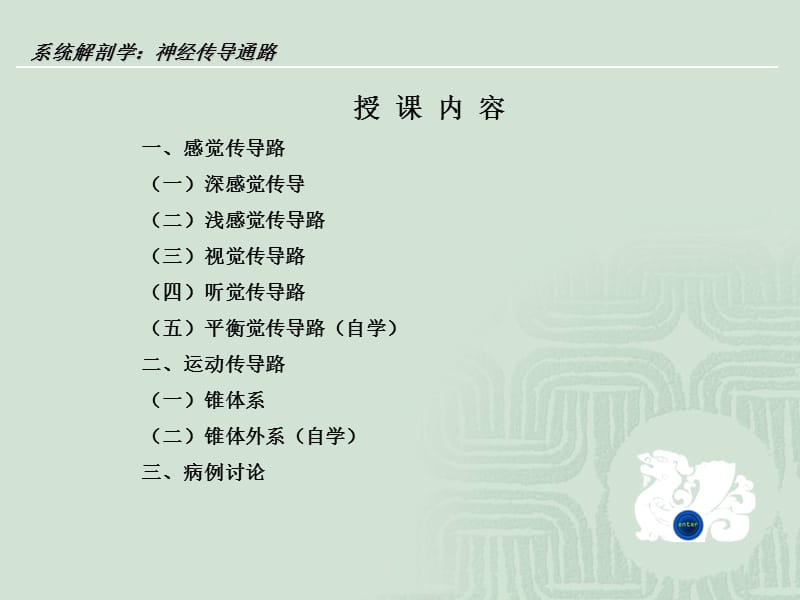 神经传导通路教案解剖学-精选文档.ppt_第1页