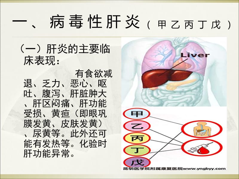 最新：炎热季节常见疾病防治-v03ppt课件-文档资料.ppt_第2页