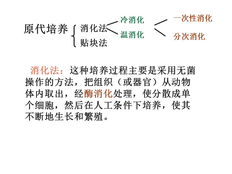 最新：第五章细胞的原代与传代培养-文档资料.ppt_第3页