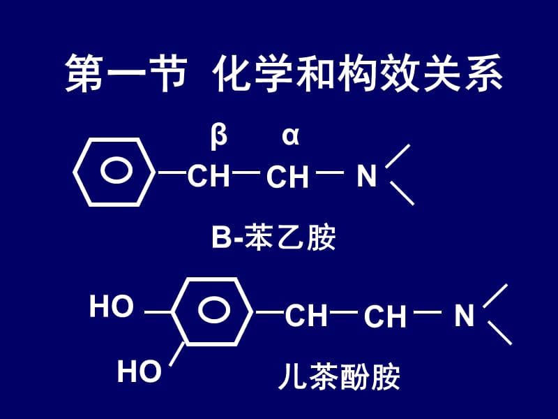 最新：第十九章肾上腺素受体激动药-文档资料.ppt_第1页