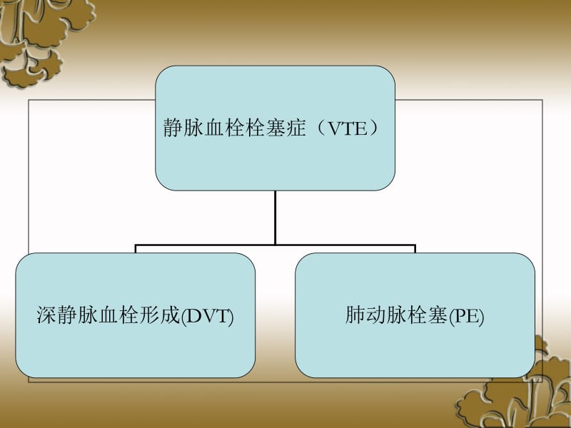 最新静脉血栓栓塞症防治与护理-PPT文档.ppt_第1页