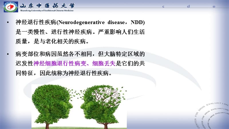 神经系统退行性疾病的药物治疗及其用药指导ppt课件-文档资料.ppt_第3页