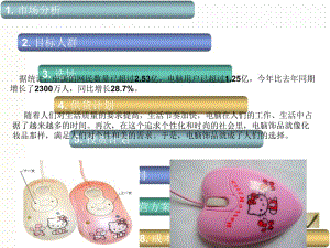 电脑饰品开店的的策划-文档资料.ppt