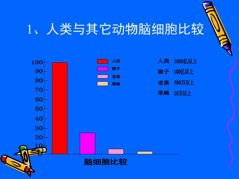 最新：了解认识大脑研究适于脑的教学-文档资料.ppt_第2页