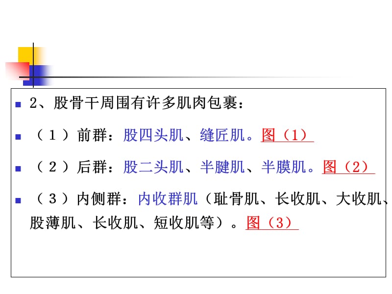 最新：股骨干折课件-文档资料.ppt_第2页