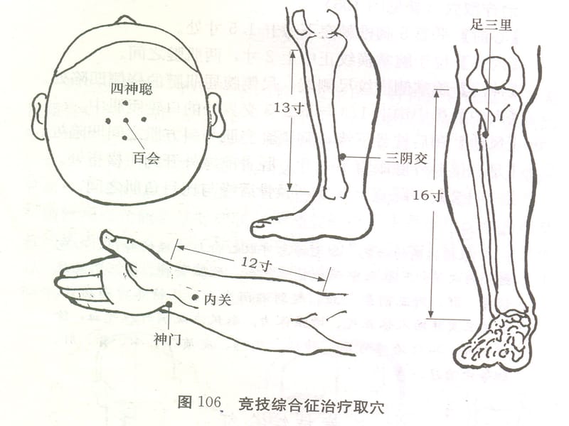 常见病推拿运动生理学-精选文档.ppt_第3页