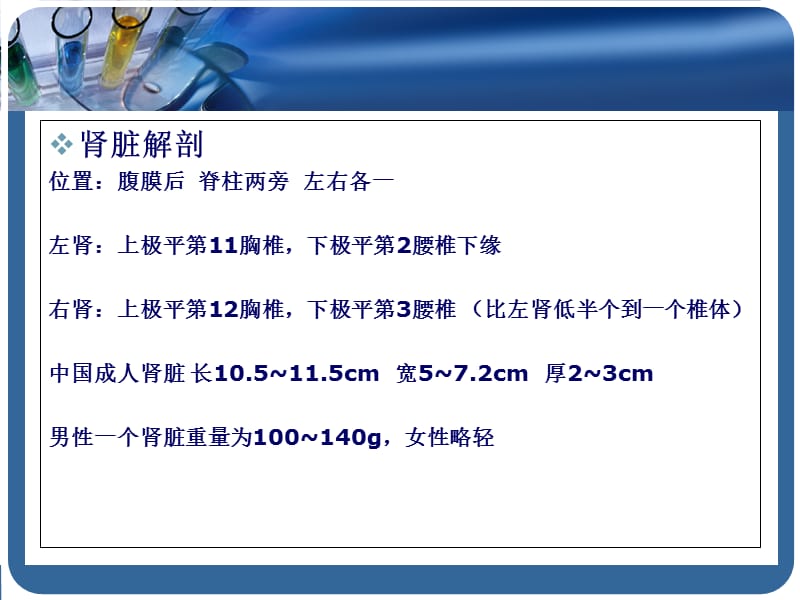 最新：内科学泌尿系统疾病总论-文档资料.ppt_第3页