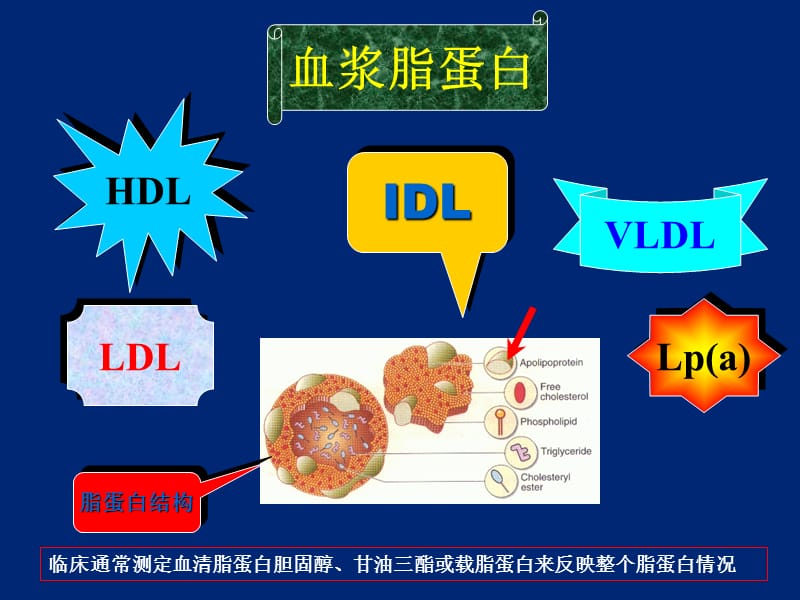 最新：临床血脂测定与应用-文档资料.ppt_第2页