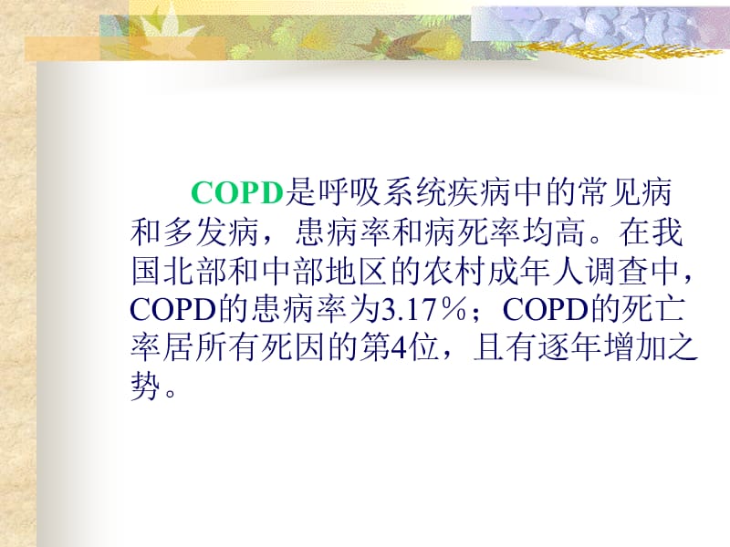 慢性阻塞性肺疾病的康复护理-精选文档.ppt_第2页