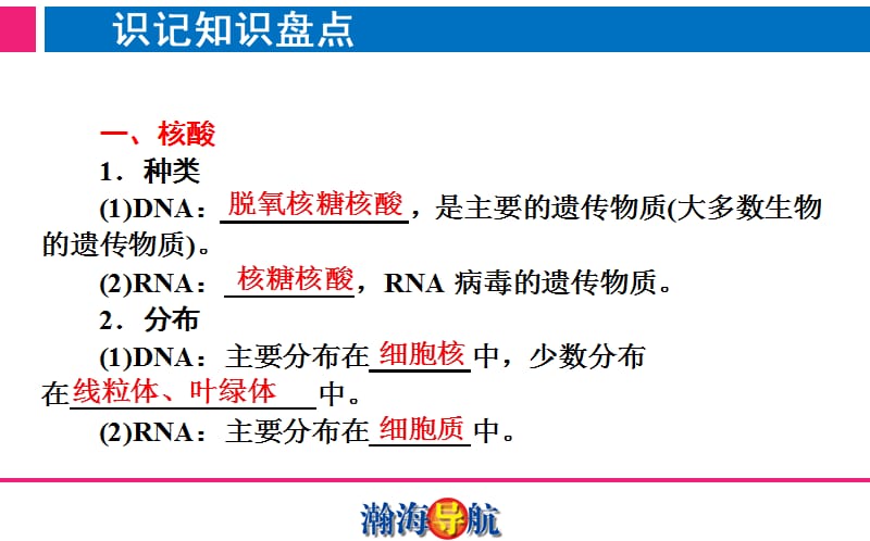 第3、4节细胞中的核酸糖类和脂质-精选文档.ppt_第3页