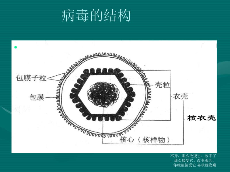 最新遗传细胞学基础-PPT文档.ppt_第2页