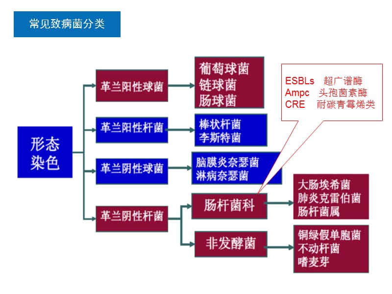 抗菌药物特点及临床使用-PPT文档.ppt_第2页