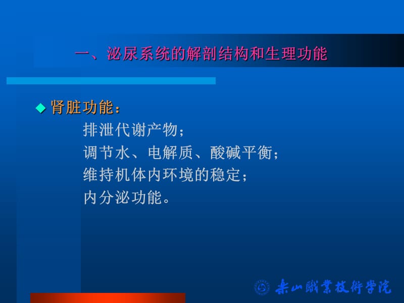 泌尿系统疾病病人护理-文档资料.ppt_第3页